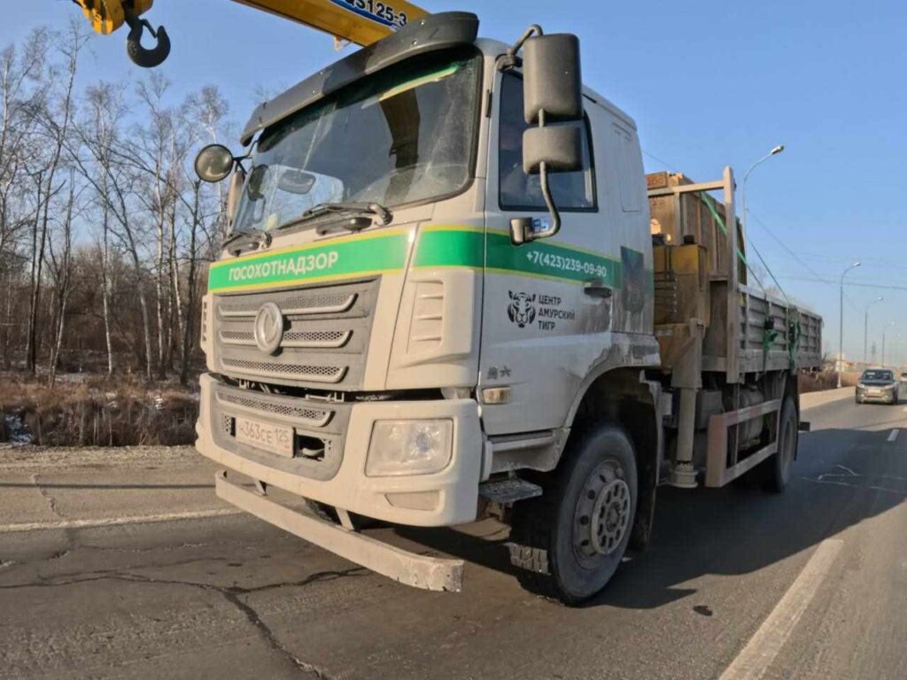 Хищник из Приморья добрался до Ленинградской области