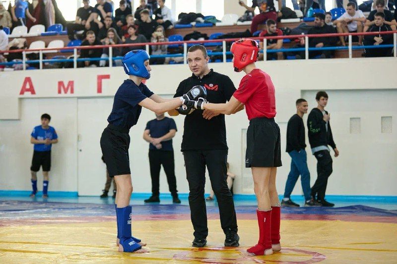 Выяснилось, в каких городах Приамурья живут самые сильные бойцы панкратиона