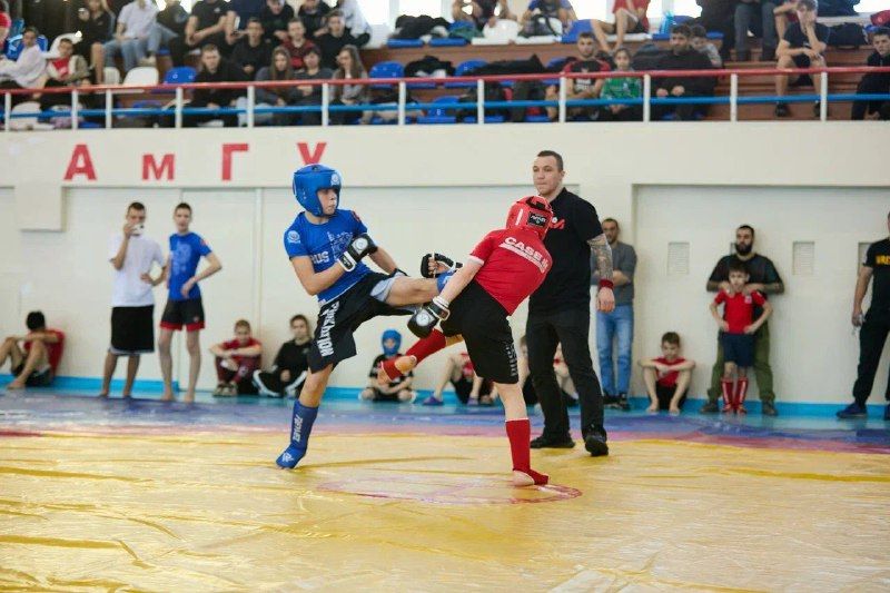 Выяснилось, в каких городах Приамурья живут самые сильные бойцы панкратиона