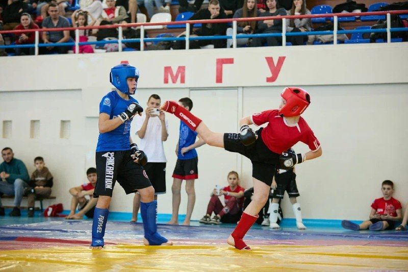 Выяснилось, в каких городах Приамурья живут самые сильные бойцы панкратиона