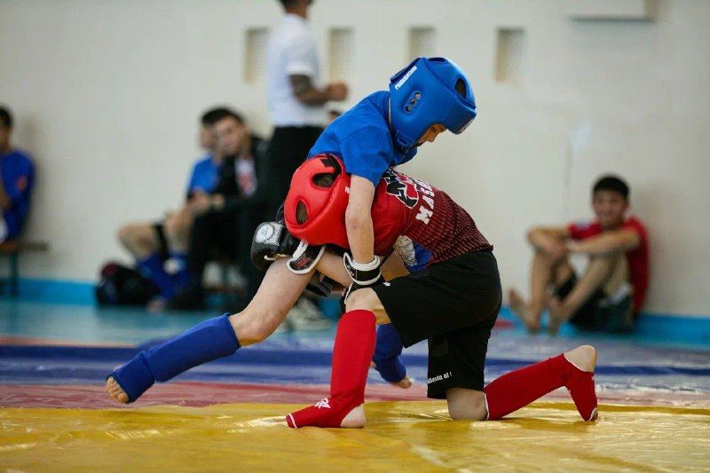 Выяснилось, в каких городах Приамурья живут самые сильные бойцы панкратиона