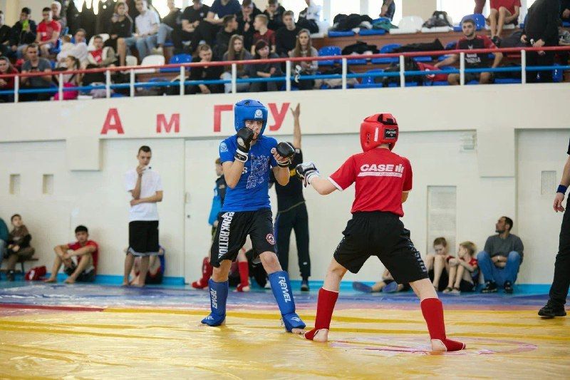 Выяснилось, в каких городах Приамурья живут самые сильные бойцы панкратиона