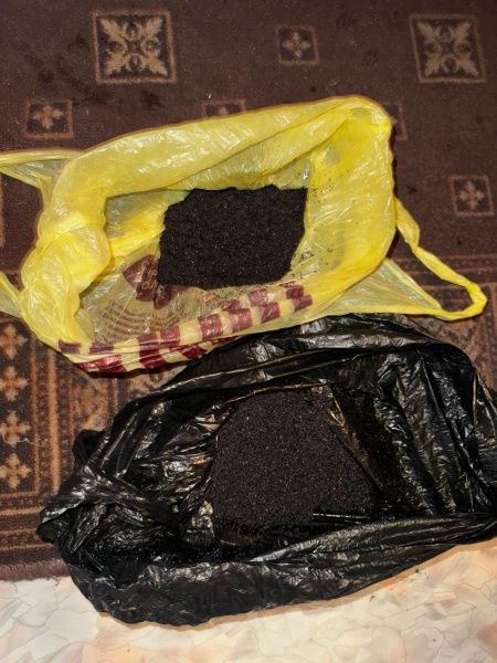 В Приамурье нашли и закрыли наркопритон