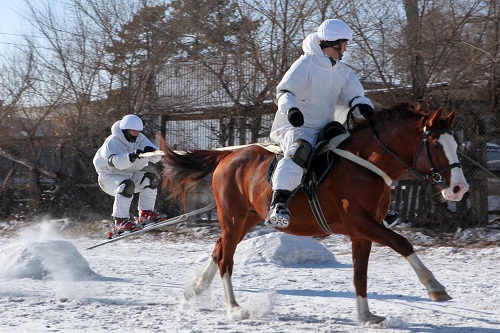 Они сошлись – лыжники и кони: необычная гонка прошла в Благовещенске