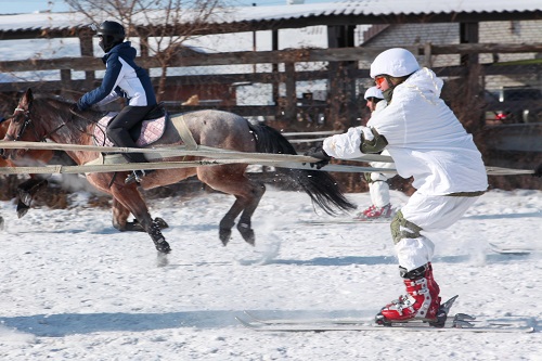 Они сошлись – лыжники и кони: необычная гонка прошла в Благовещенске