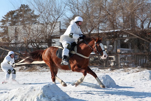 Они сошлись – лыжники и кони: необычная гонка прошла в Благовещенске