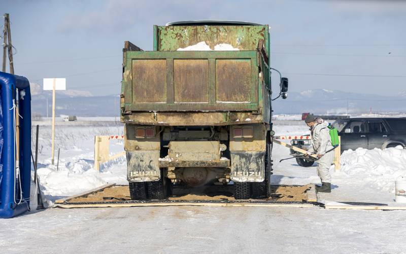 На Сахалине из-за опасной болезни массово уничтожают птицу