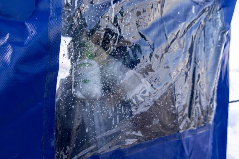 На Сахалине из-за опасной болезни массово уничтожают птицу