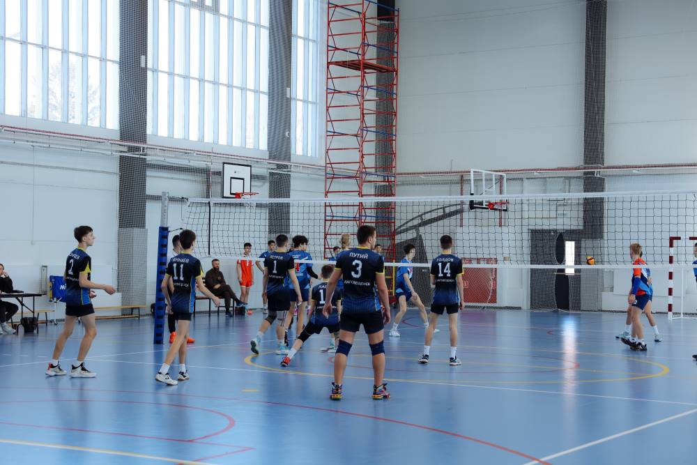 Стало известно, какие виды спорта наиболее популярны среди амурчан
