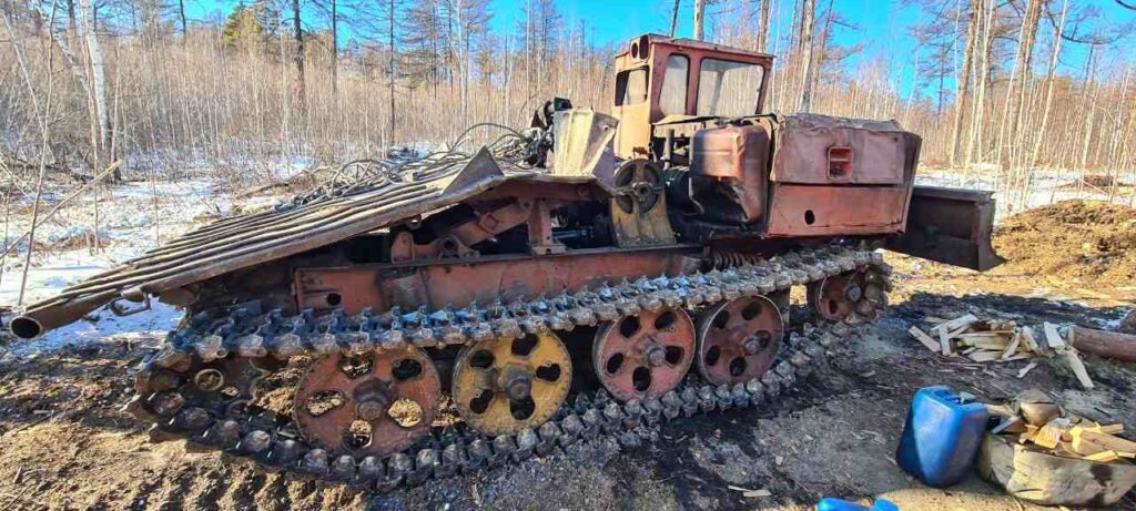 Вырубка деревьев