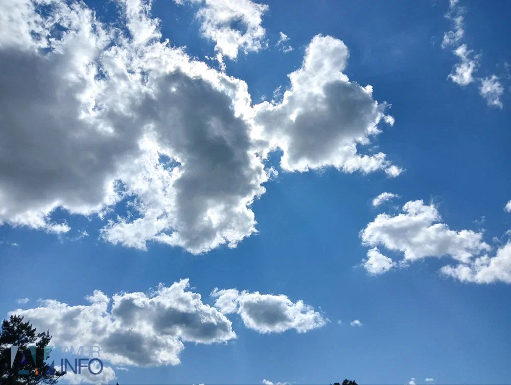 солнце, жара