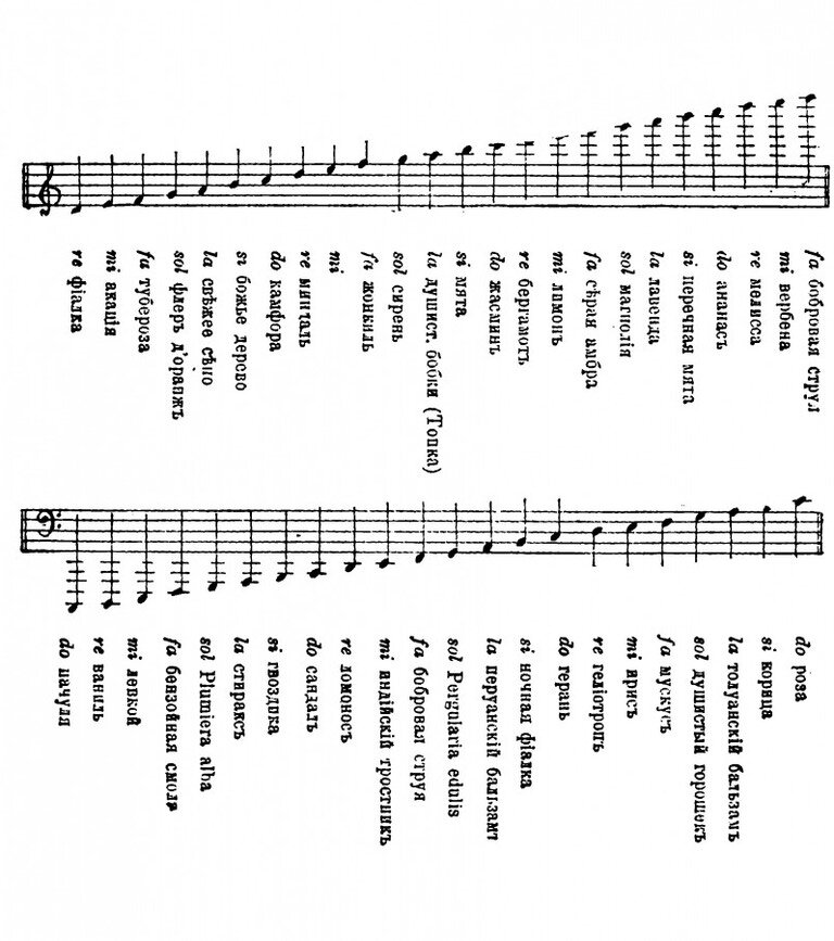 слышать аромат, почему ароматы слушают, популярные ароматы, как выбрать духи, духи диор, духи шанель