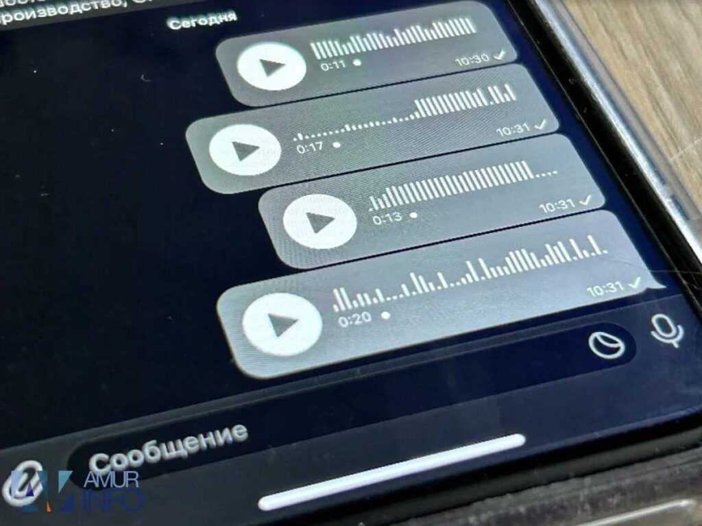 Фото: Амур.инфо