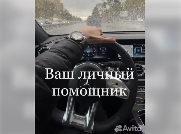 Друг на час, верну любимого, костюм для недособаки: самые необычные объявления в Благовещенске