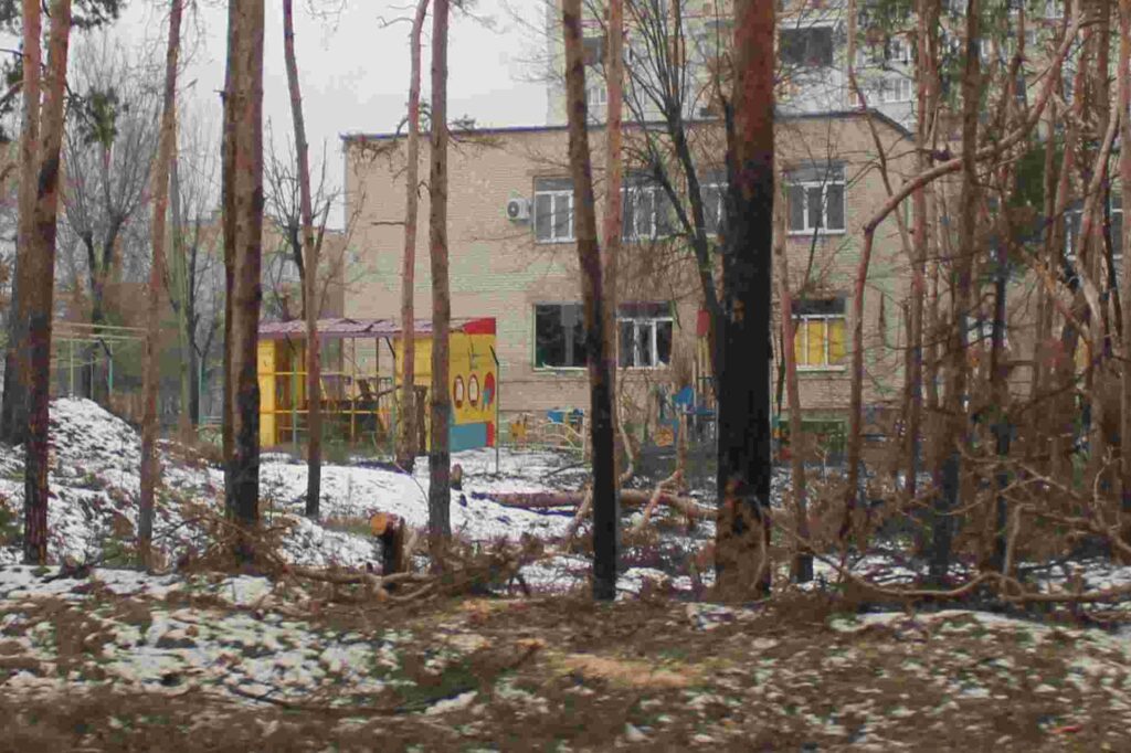 Фото: Амур.инфо