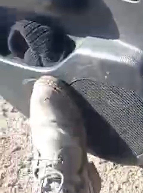 «Он меня затянул в машину и избил!», или Однажды в одном благовещенском такси