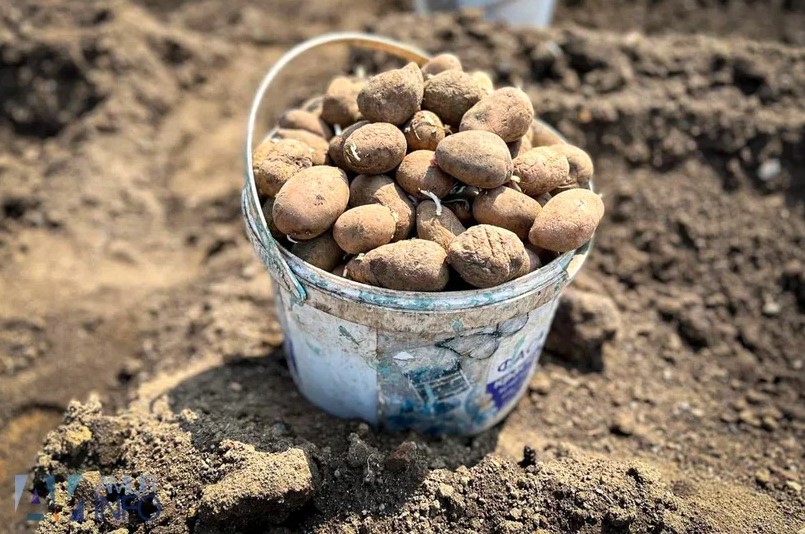 Фото: Амур.инфо