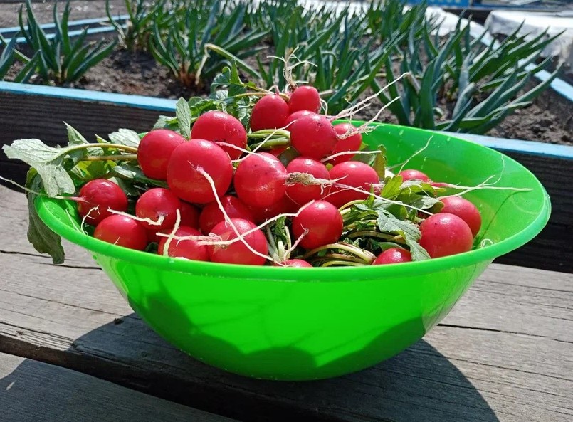 Фото: Амур.инфо