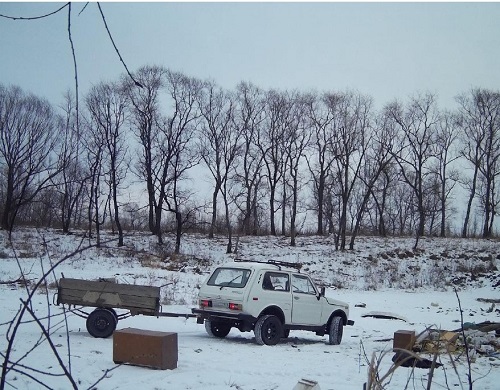 Фотоловушка зафиксировала представителя вида «амурчанин нечистоплотный» 
