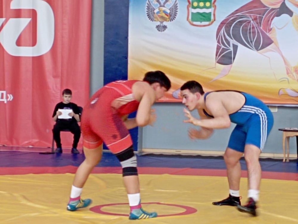Три золота в кармане: амурские борцы успешно выступили на всероссийских соревнованиях