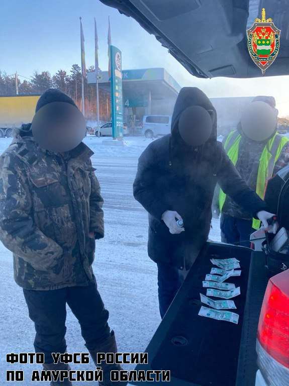 Амурчанина поймали на незаконной продаже боеприпасов