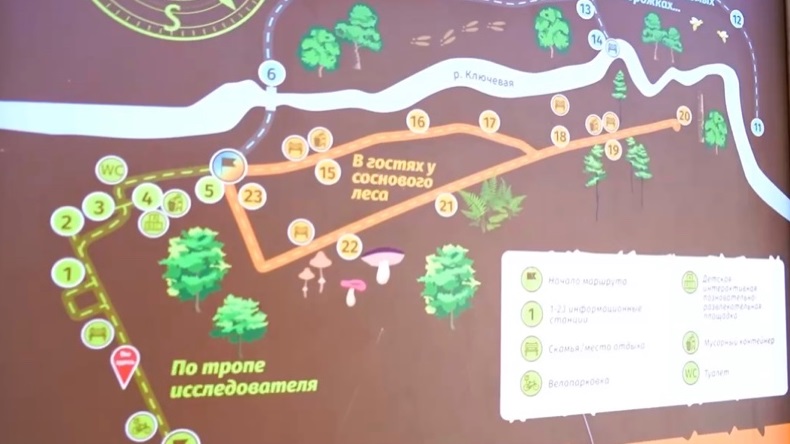 дендрарий Свободного