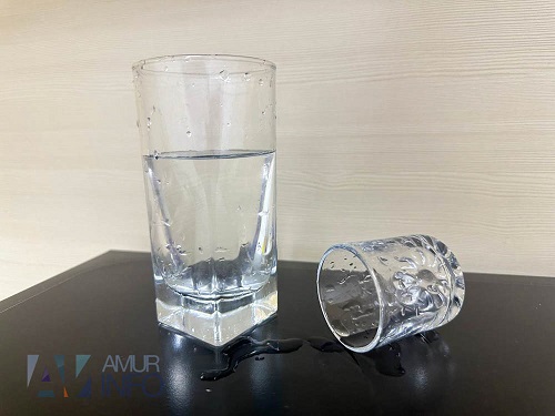 Друг на час, верну любимого, костюм для недособаки: самые необычные объявления в Благовещенске