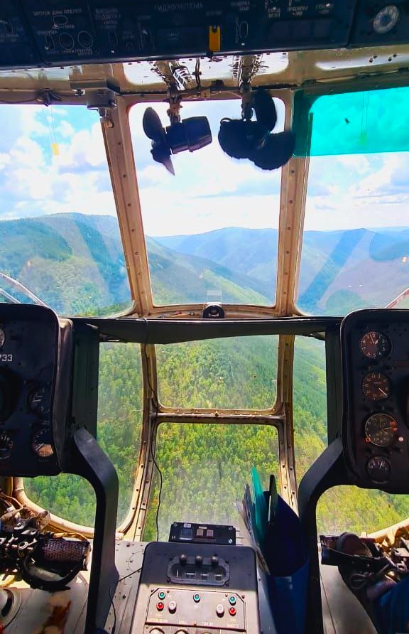 Приамурье глазами птиц: спасатели поделились уникальными снимками