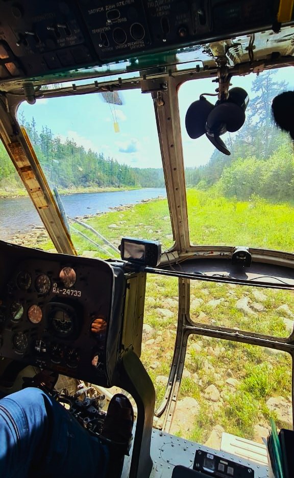 Приамурье глазами птиц: спасатели поделились уникальными снимками