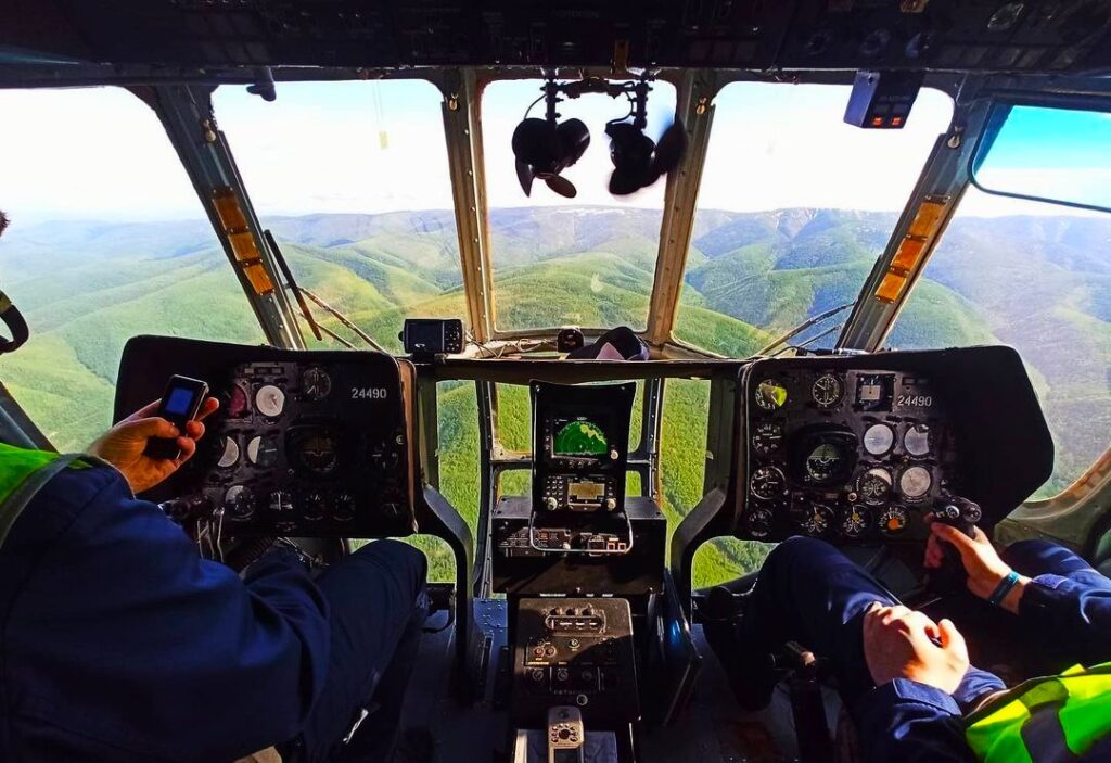 Приамурье глазами птиц: спасатели поделились уникальными снимками