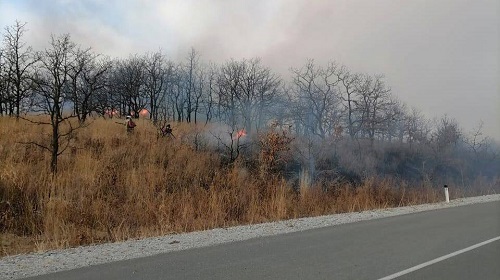 Отбивают села от огня: Дальний Восток захватили лесные пожары