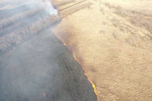 Отбивают села от огня: Дальний Восток захватили лесные пожары