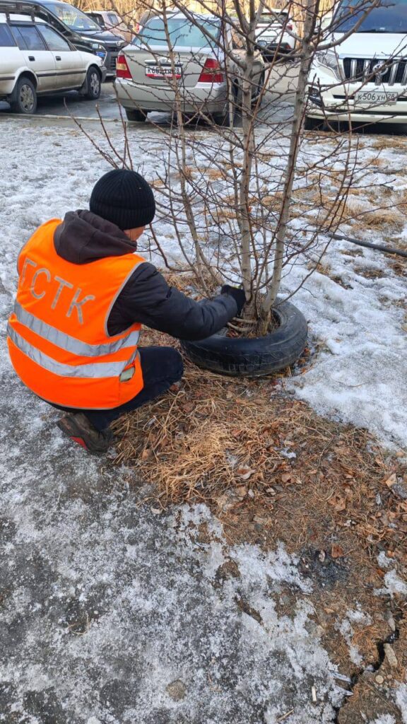 Фото: мэрия Благовещенска