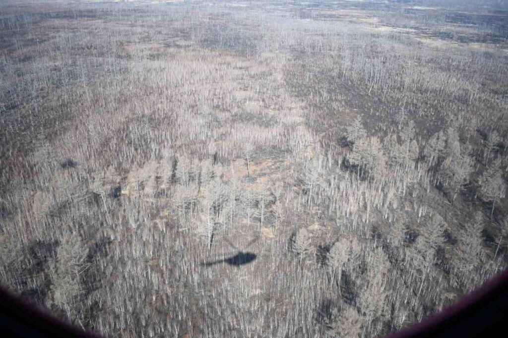 Тень от вертолёта