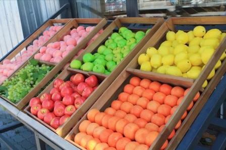 Фото: Амур.инфо