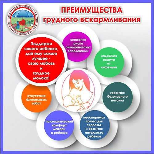 Мифы о беременности: можно ли краситься, париться, «облучаться» на УЗИ и есть за двоих