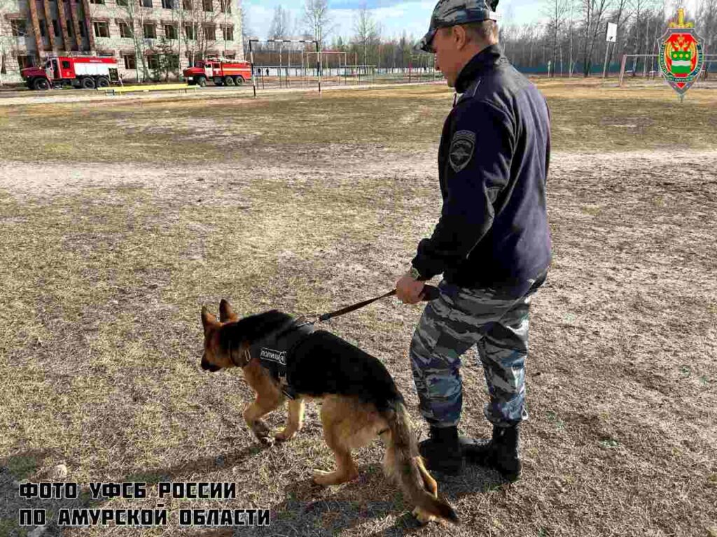 Фото: УФСБ по Амурской области