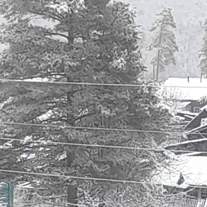 Апрельский снег в Приамурье: откуда зима не хочет уходить?