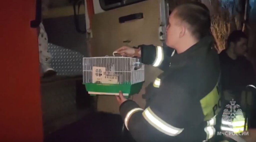 В Орске прорвало дамбу: людей срочно вывозят из зоны затопления