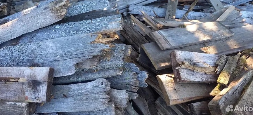 Зачем покупать, если можно взять: что и кого в Благовещенска отдают бесплатно