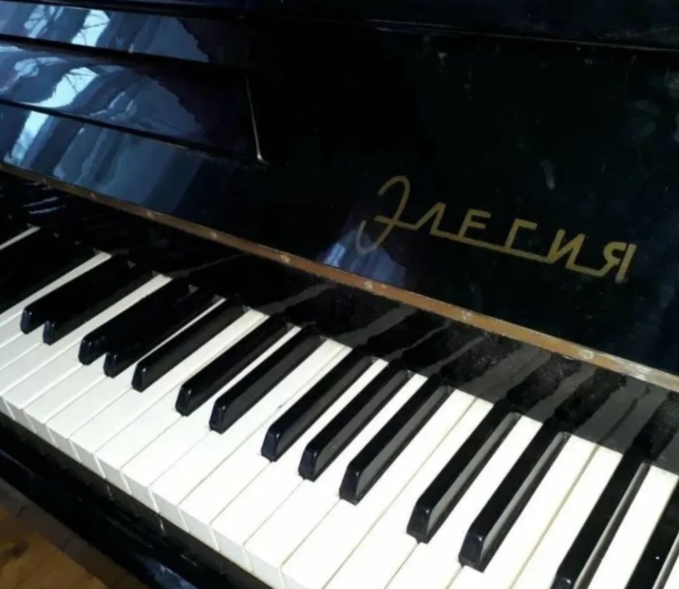 Зачем покупать, если можно взять: что и кого в Благовещенска отдают бесплатно