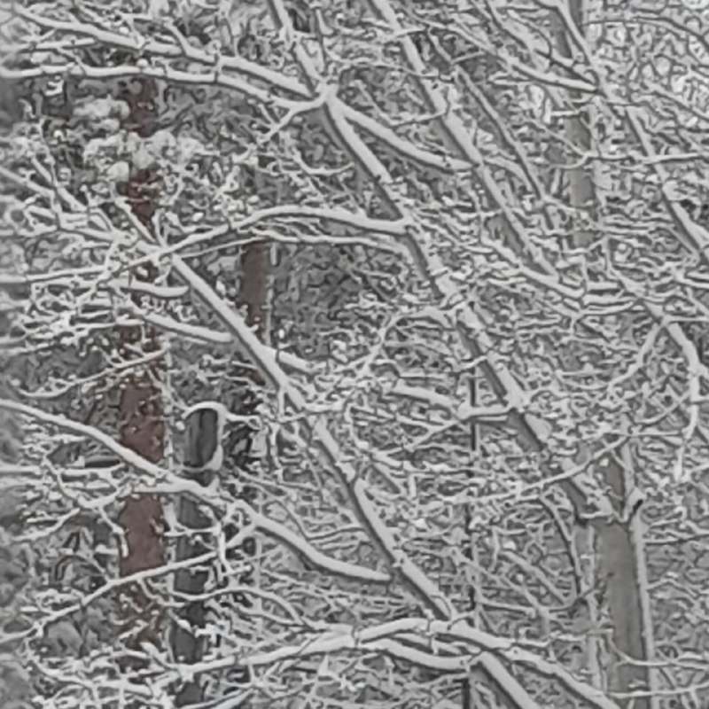 Апрельский снег в Приамурье: откуда зима не хочет уходить?