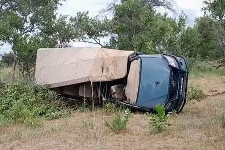 Пенсионерка из США погибла в результате нападения слона в Замбии