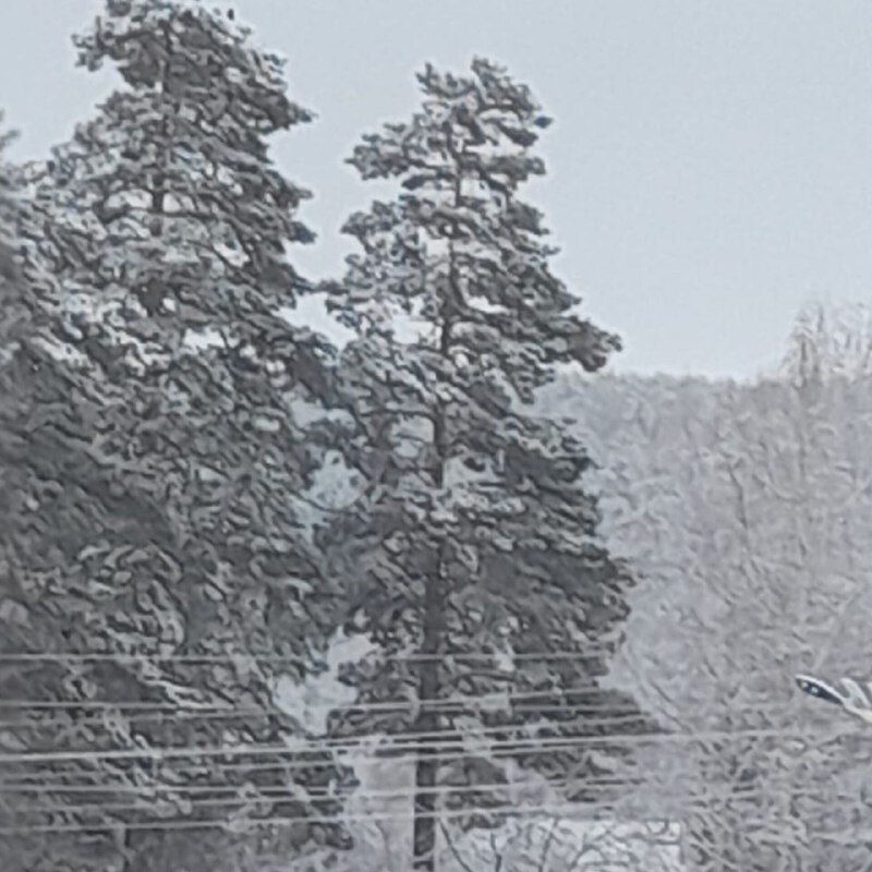 Апрельский снег в Приамурье: откуда зима не хочет уходить?