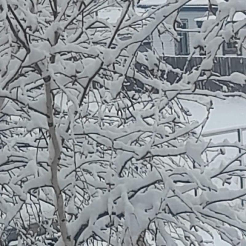 Апрельский снег в Приамурье: откуда зима не хочет уходить?