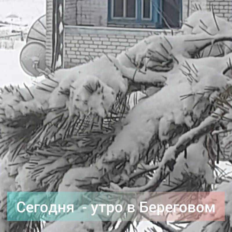 Апрельский снег в Приамурье: откуда зима не хочет уходить?