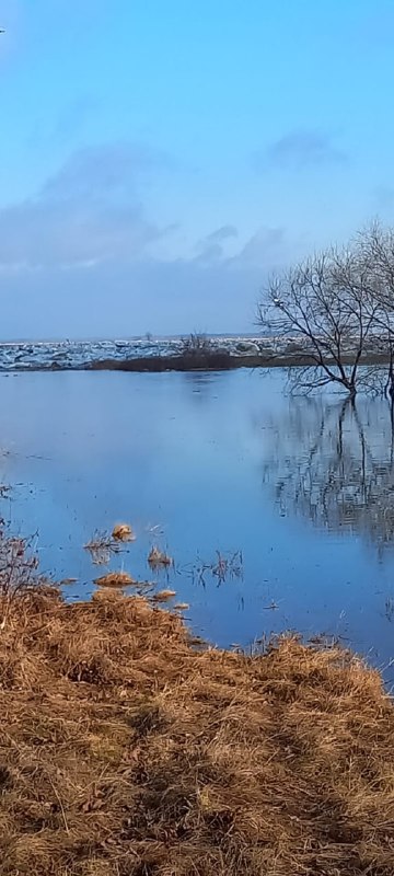 Амурские дороги продолжают исчезать под водой
