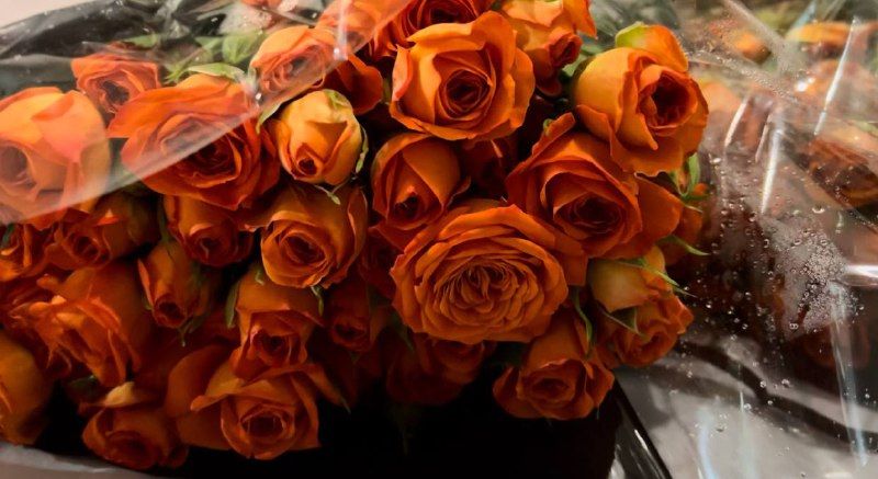 Незабудки из Китая: 120 кило цветов завезли в Приамурье из Поднебесной 
