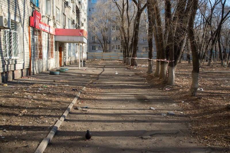 Установим камеры: мэр Благовещенска был шокирован загаженностью местного сквера