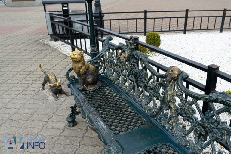 Сорока вернулась